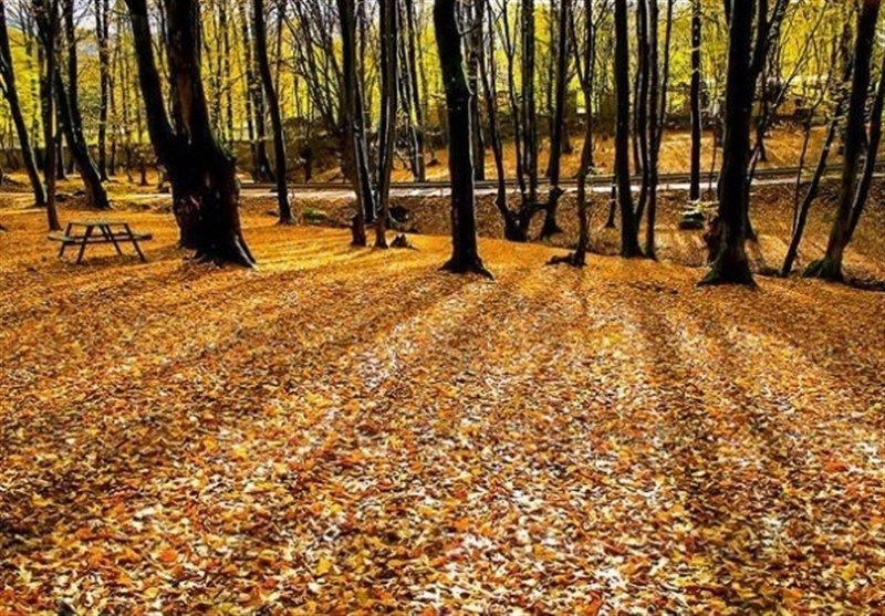 پیش دبستانی های خراسان جنوبی