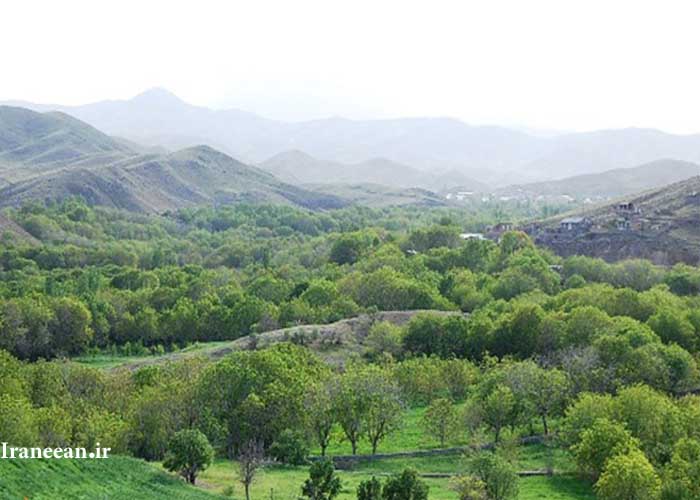 پیش دبستانی های قم